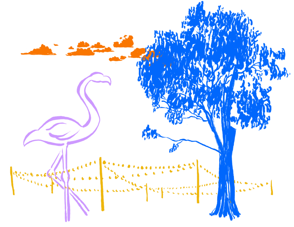 Image on the left