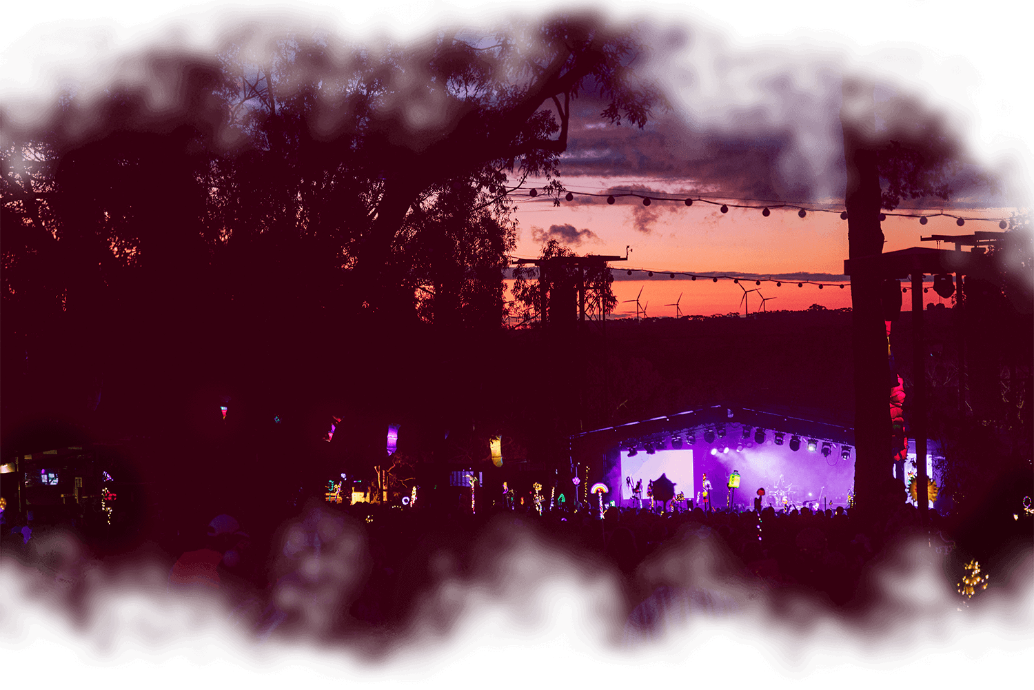 Full width image