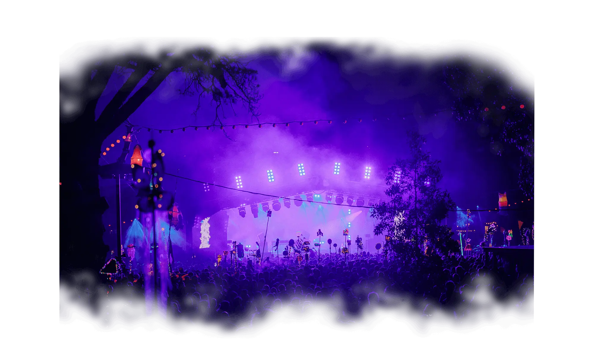 Full width image
